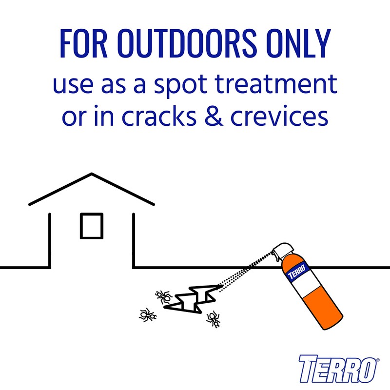 TERRO T1700SR 19 oz Outdoor Ant Killer Spray