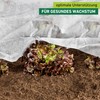 Eco Growth Fleece 5 x 1.5 m 18 g/m²