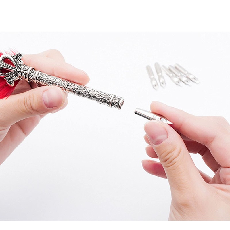 Gullor Calligraphy Feather Quill Pen and 5 Calligraphy Nibs for