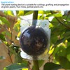 Pack of 12 Asexual Reproduction High Pressure Spreading Balls (Transparent)