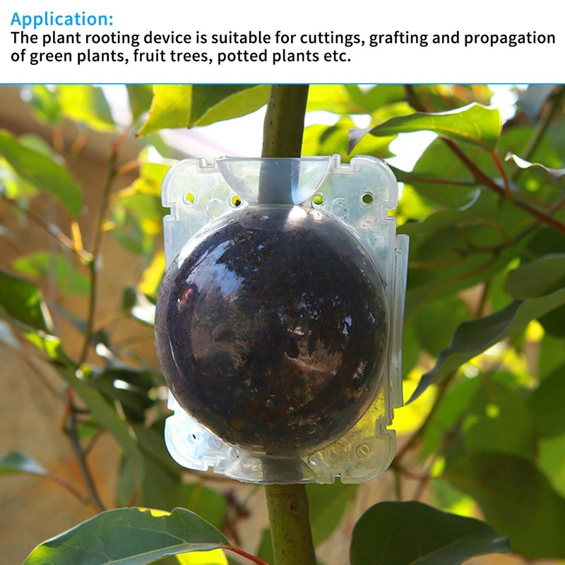 Pack of 12 Asexual Reproduction High Pressure Spreading Balls (Transparent)