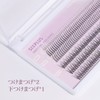 SIXPLUS False Eyelashes, Mixed Type, Mixed Eyelashes, Reusable, Long Lasting,