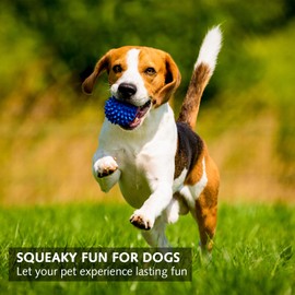 DILUSILK 3-Pack Squeaky Dog Ball Toys,Dogs Chew Spiky Ball,Floatable Dog Pool toy,Rubber Spiky Pet Balls for Large Medium Aggressive Chewers Teeth Cleaning for Training (Blue, red and green.)