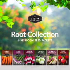 Survival Garden Seeds Root Vegetable Seed Collection - 6 Packs: Danvers Carrot, Purple Top Turnip, French Breakfast Radish, Kohlrabi, Rutabaga, Golden Beet - Non-GMO Heirloom Open-Pollinated Seeds