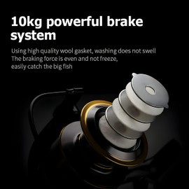 VitalEase Ultra Smooth and Powerful Spinning Reels: Durable Aluminum Alloy Body, 5.2:1 Gear Ratio, 12BB, Suitable for River, Lake, and sea Fishing, with a Variety of Models Available. (HE4000)