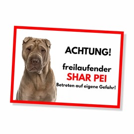 Shar Pei Freilaufender Hund Dog Sign Saying Door Sign Dog Sign Warning Sign
