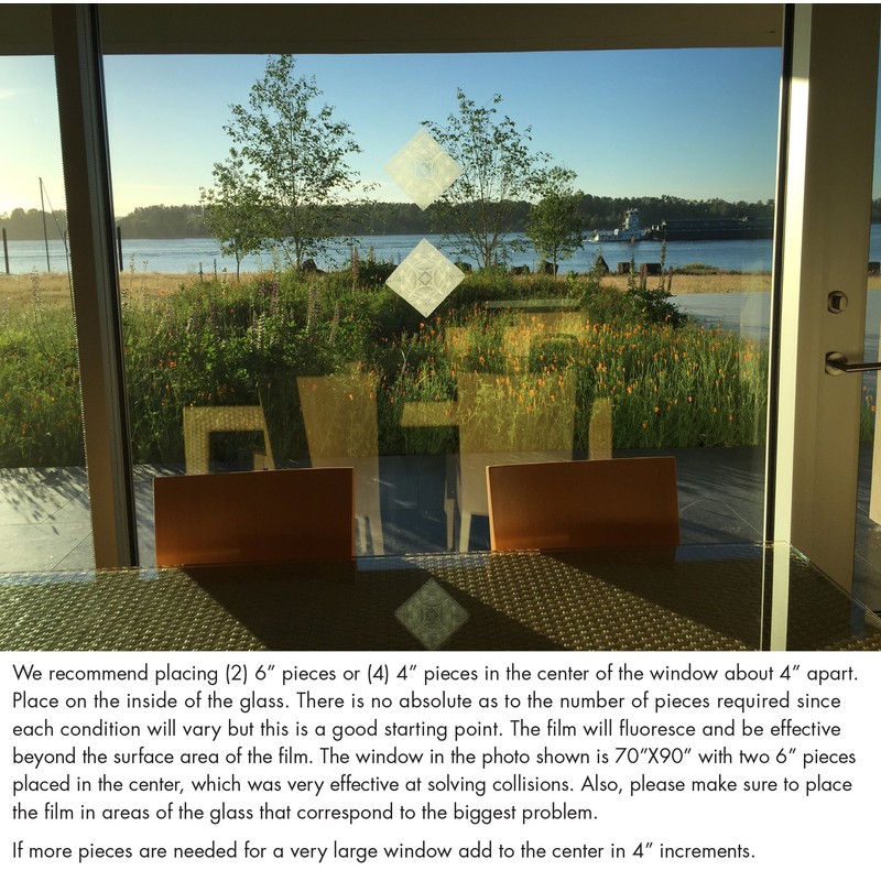 Bird's Eye View Clear/Etched Window Deflector 10 x 10 cm