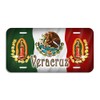 Mexico Flag Eagle Our Lady Of Guadalupe Auto License Plate