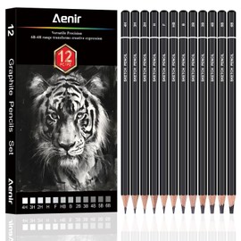 Charcoal Pencils for Drawing, Set of 12 Drawing Pencils for Sketching Medium (6B - 4H), Artist Graphite Pencils for Drawing, Charcoal Pencils for Artists for Sketching Supplies, Charcoal Art Supplies.