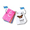 Arabic Alphabet Flash Cards, Alphabet Cards Madrassa, Arabic First Words,