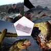 FishTrip Texas Rig Hooks for Bass Fishing, EWG Worm Hooks