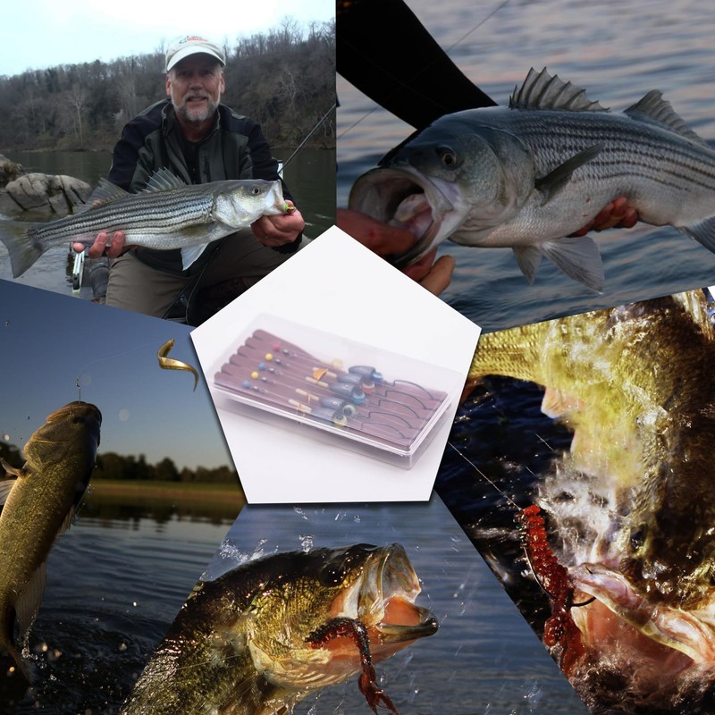 FishTrip Texas Rig Hooks for Bass Fishing, EWG Worm Hooks