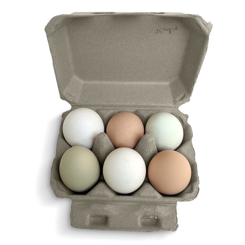 Half Dozen Egg Cartons- Henlay Blank Flat Top Six Pack
