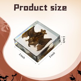 Taxidermy Snake Skeleton Insect in Resin, Real Snake Skeleton Specimens Animal in Acrylic Block Paperweights Specimen for Classroom Science Education Desk Decor (Snake Skeleton)