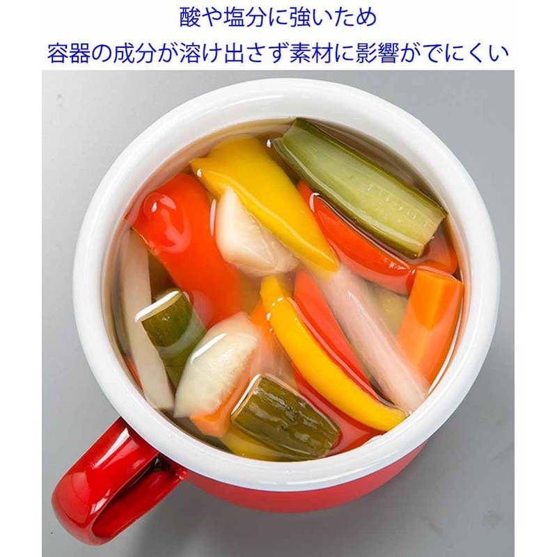 Takagi Metal FSH-14R Storage Container, Canister, Umeboshi Container with Handle,