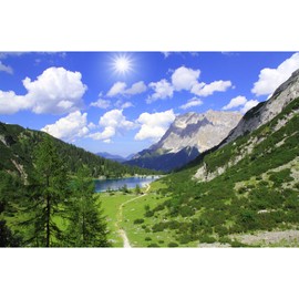 Mountains Aquarium Background Green Gobi Plants Pine Tree Terrarium Background Tranquil Lake Blue Sky Sunbeam with Cloud Fish Tank Background Mountain Theme Reptile Habitat Background 30x18in