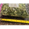 Fresh Moringa Oleifera Leaves 100% Organic Florida Grown USA 3.5