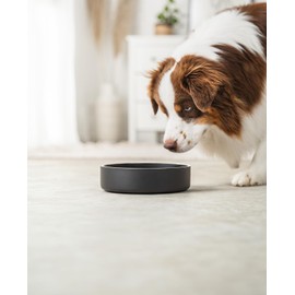 lionto Futternapf aus robustem Edelstahl, 1200 ml, lebensmittelechter Hundenapf mit rutschfesten Silikonpads, rostfreier Wassernapf für Hunde & Katzen, spülmaschinenfest, schwarz