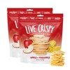 Live Crispy Crunchy Fruit Chips - No Sugar Added, Dried
