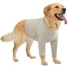 Aimydog Dog Recovery Sleeve with Elbow Protector, Recovery Suit for