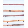 Tin Roof Treasure 4ft. Birch Pole Assortment, 4 pc. for