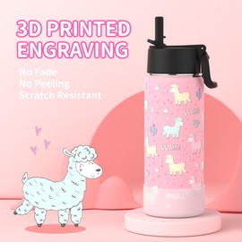 Mollcity Kids Water Bottle with Straw-16 oz Stainless Steel Vacuum Insulated Water Bottle for Schoo Metal Flask with Leakproof Straw Lid, BPA-Free