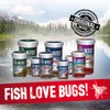 Fluval Bug Bites Goldfish Fish Food, Flakes for Small to