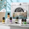 SNOWSEN LDY-1 Essential Oil Set