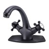 Aolemi Bathroom Sink Faucet Oil Rubbed Bronze Single Hole Double