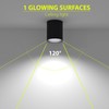 EBION Surface Mounted Downlight, Flush Mount Ceiling Spotlight, Minimalist Round