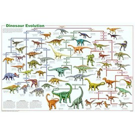 Dinosaur Evolution Educational Science Chart Poster 36 x 24in