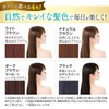 Sastty Color Cream for Gray Hair, Black, 6.0 oz (170