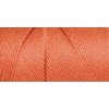 Bulk Buy: Caron Simply Soft Yarn Solids (2-Pack) (Persimmon)