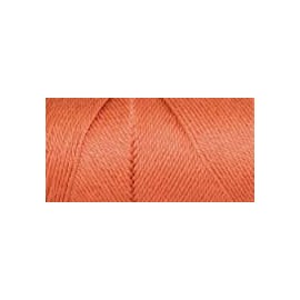 Bulk Buy: Caron Simply Soft Yarn Solids (2-Pack) (Persimmon)
