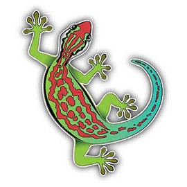 JJH Inc Magnet Gecko Flexible Vinyl Magnet Waterproof Car Magnetic Bumper Sticker 5"