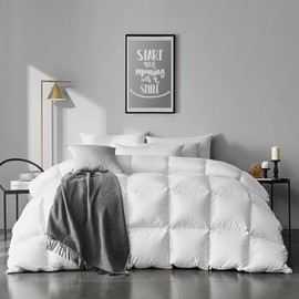 APSMILE Queen Size Feathers Down Comforter - Ultra Soft All Seasons 100% Organic Cotton Duvet Insert Medium Warm Quilted Bed Comforter with Corner Tabs (90x90,Ivory White)