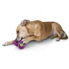 PetSafe Busy Buddy Ultra Woofer S Durable Dog Chew Toy,