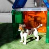 Safari Ltd. Jack Russell Terrier Figurine - Hand-Painted, Lifelike 2.5"