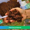 Premium Coco Coir by URBANGRO Gardening Essentials - Natural Growing