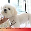 HASHIMOTO Dog Grooming Chunkers for Large Hands,Dog Texturizing Shears,Cat Scissors,19