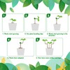 YUSHWENPTY Plant Bender Pack of 20 Lst Clips, Plant Clips,
