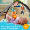 Fisher-Price Smart Stages Learn Puppy Walker Educational Music Lights&Activit