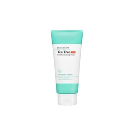 Bringgreen Tea Tree Cica Trouble Cleansing Foam 300ml / 브링그린 티트리 시카 트러블 클렌징 폼 300ml