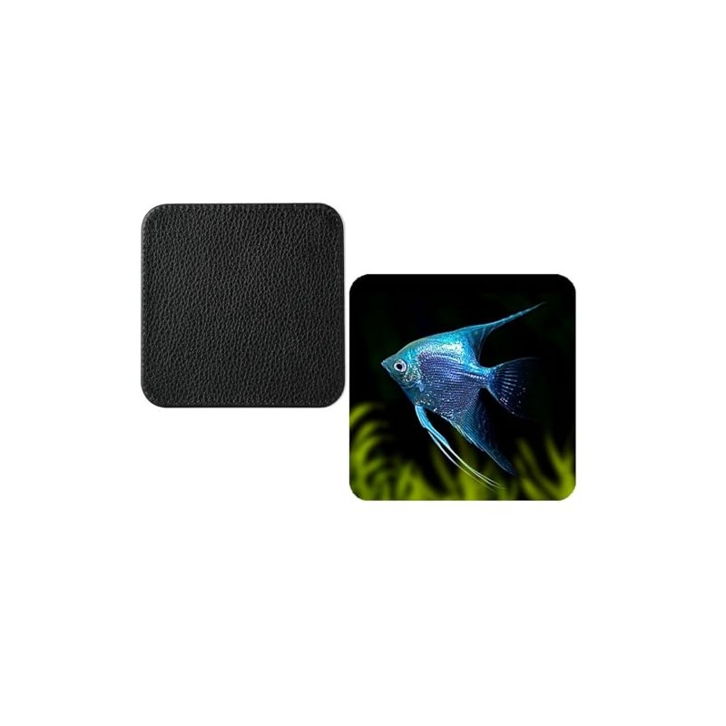 Set Of 4 Blue Angel Fish Tropical synthetic Leather Square