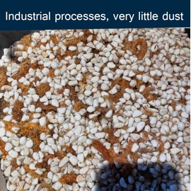 10 QT Professional Grade Horticultural Organic Perlite (10 QT, Large Size - Perlite)