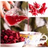 Seed-Top 50 Roselle Seeds Jamaican Sorrel Seeds Florida Cranberry Hibiscus