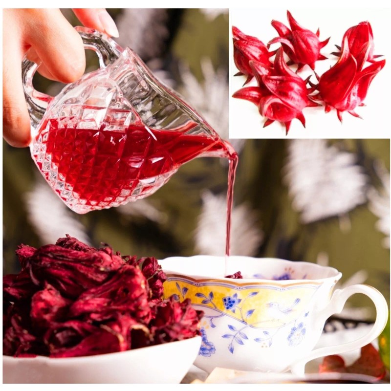Seed-Top 50 Roselle Seeds Jamaican Sorrel Seeds Florida Cranberry Hibiscus