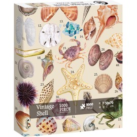 Vintage Seashell Puzzles for Adults 1000 Pieces, Beach Ocean Puzzle of 40 Colorful Sea Shells, Beach Theme Jigsaw Puzzle of Sea Glass Crab