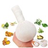 Herbal Stamp – Ginger Lemongrass – Pack of 2 x