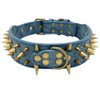 Beirui Sharp Spiked Studded Dog Collar - Stylish Leather Dog